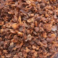 برگه زردآلو