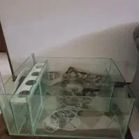 سامپ آکواریوم بزرگ آب شور و شیرین