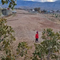 زمین خانه باغ ششدار