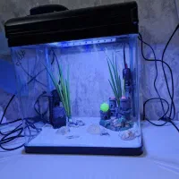 دوتا آکواریم برندشرکتی آکواهمراه تجهیزات