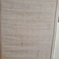 تشک نوجوان سالم