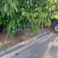 باغ گردو|فروش زمین و ملک کلنگی|شازند, |دیوار