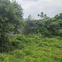 دو پلاک زمین ۲۸۲متری داخل بافت /قابل ساخت/کاسبی