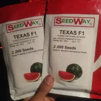 بذرهنداونه گرد