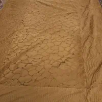 روتختی|سرویس روتختی|تهران, سهروردی|دیوار
