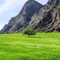سپاس از مهر شما