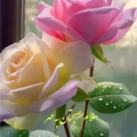 اجاره سوئیت ۵۰ متری همکف