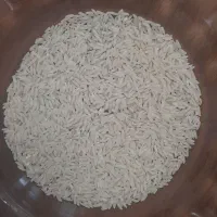برنج هاشمی معطر گیلان