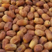 قصب درجه 1،بخش بوشکان