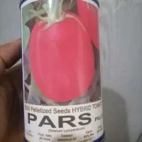 بذر گوجه پارس