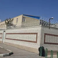 حفاظ شاخ گوزنی|خدمات پیشه و مهارت|سیرجان, |دیوار