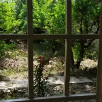 باغچه سهیلیه ۲۰ متر سرایه داری