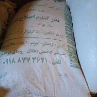 گندم بذر|خدمات باغبانی و درختکاری|سنندج, |دیوار