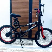 دوچرخه ۲۰ بزرگ رالی