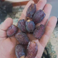 بریم