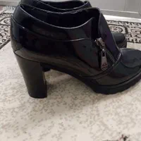 کفش زنانه|کیف، کفش، کمربند|اهر, |دیوار