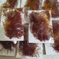 زعفران اصل|حراج|بیرجند, |دیوار