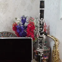 کلارینت سوزوکی سی بمل|سازهای بادی|تهران, نازی‌آباد|دیوار