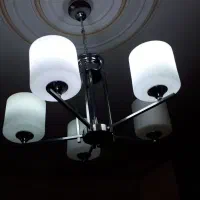 لوستراستیلی پنج شاخه