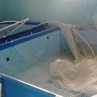 تجهیزات پرورش ماهی و جلبک  با آکواریوم‌ها و اینتکس|عمده‌فروشی|سمنان, |دیوار