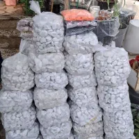 باغبانی درب منزل رسیدگی به باغچه وگلدون آپارتمانی|خدمات باغبانی و درختکاری|تهران, شهرک غرب|دیوار