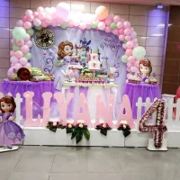 بادکنک ارایی|خدمات پذیرایی، مراسم|بیرجند, |دیوار