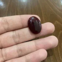 عقیق کرزی یمن