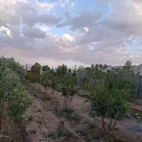 چهار-دیواری