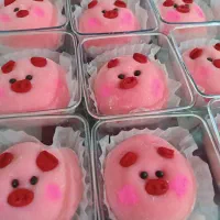 ویزیتور و پخش‌کننده باسابقه مواد غذایی موچی و دسر