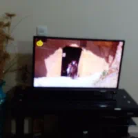 تلویزیون|تلویزیون و پروژکتور|مهاجران, |دیوار