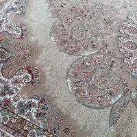 فرش دست دوم ۱۲متری|فرش|قروه, |دیوار