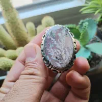 انگشترزنجان محمودی 36 گرم شجر تک درخت بهاری کمیاب