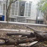 ۱۲۵ متر ، بر ۵ جنوبی