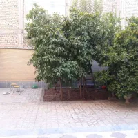 طبقه اول منزل/۱۴۰متر/۲خواب|اجارهٔ خانه و ویلا|شیراز, قالیشویی|دیوار