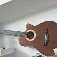 گیتار دیاموند همراه کیف