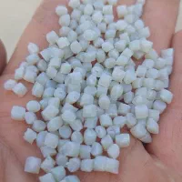 گرانول بادی بیرنگ راگا