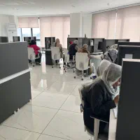طراحی سایت، برند بوک، کارت ویزیت، کارتن