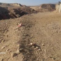 زمین برای استفاده دامداری و یا درختکاری|فروش زمین و ملک کلنگی|آبدانان, |دیوار