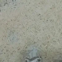 برنج فجر سوزنی