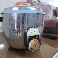 پلوپزبرقی