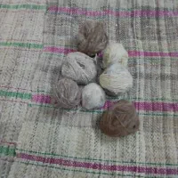 جاجیم دست بافت|گلیم، جاجیم، گبه|اهواز, کیانپارس |دیوار