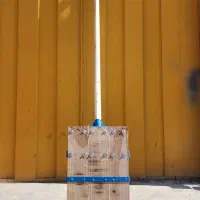 پارو برف|ابزارآلات|نجفآباد, شهدا|دیوار