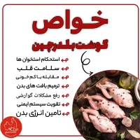 گوشت بلدرچین و بلدرچین زنده|خوردنی و آشامیدنی|شیراز, ظفرآباد|دیوار
