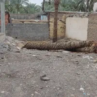 زمین مسکونی بهترین موقعیت خوش آب هوای بم