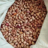 لوبیا چیتی
