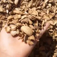 فروش تناژ پوست خشک بادم درختی..گردو..|عمدهفروشی|دامغان, |دیوار