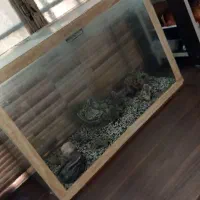 اکورایون
