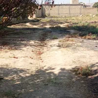 زمین باغ شهری|فروش زمین و ملک کلنگی|کوار, |دیوار