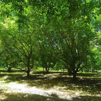 تولید محتوا باصدا...