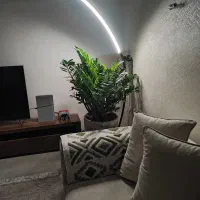 چراغ ایستاده سالنی رشد گیاه هوشمند